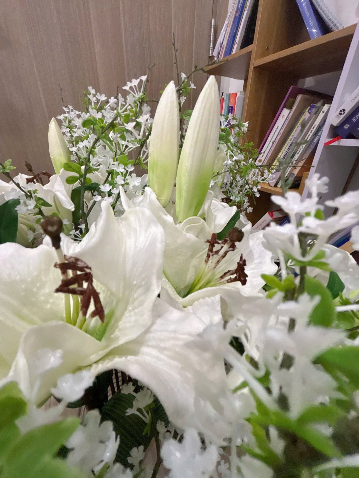 Nhánh phụ tạo độ bay