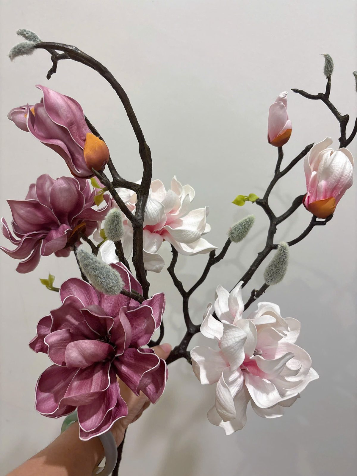 Chi tiết dáng Hoa Mộc Lan